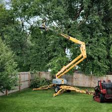 Best Emergency Tree Removal  in Matamoras, OH