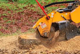 Best Tree Risk Assessment  in Matamoras, OH